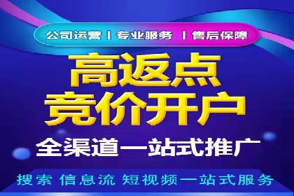 电商平台信息流广告的投放策略与效果评估案例